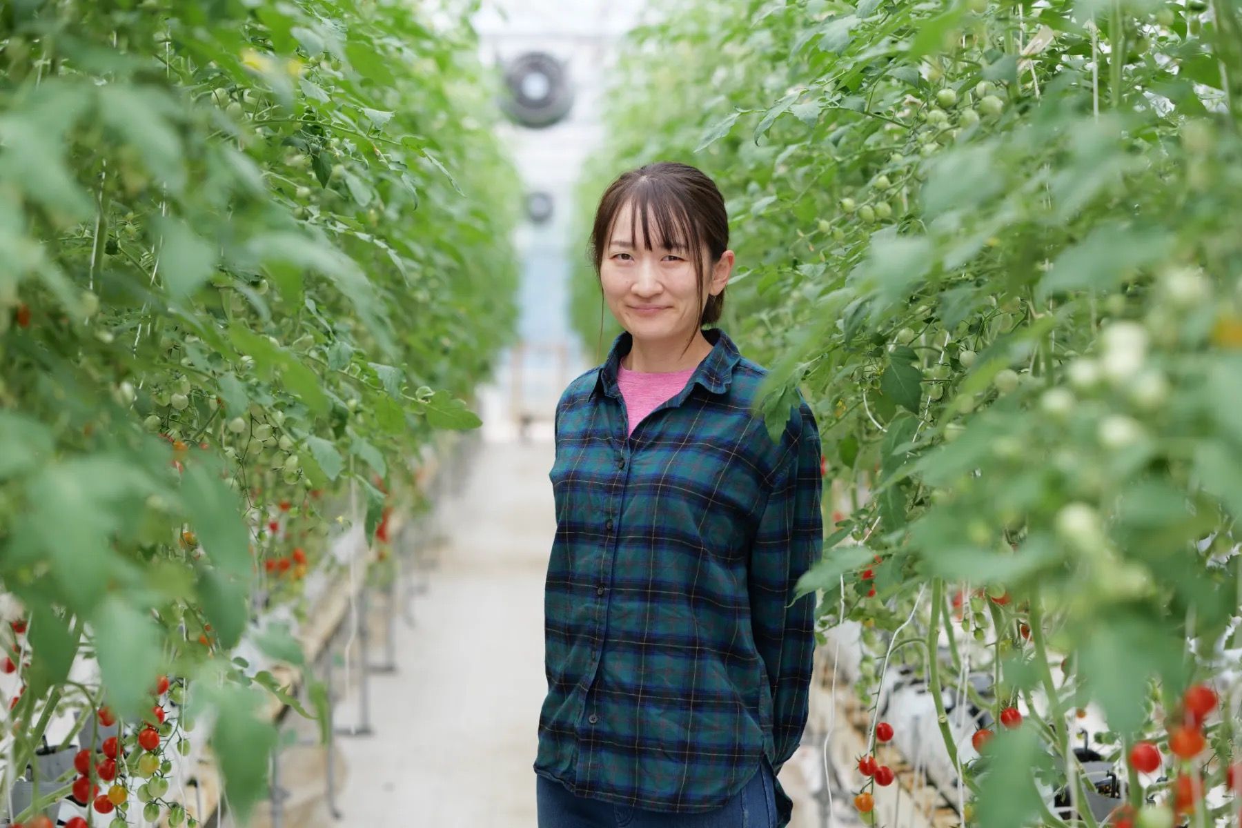 アグリハブは作業計画を一緒に考えてくれるパートナー。多品目で...