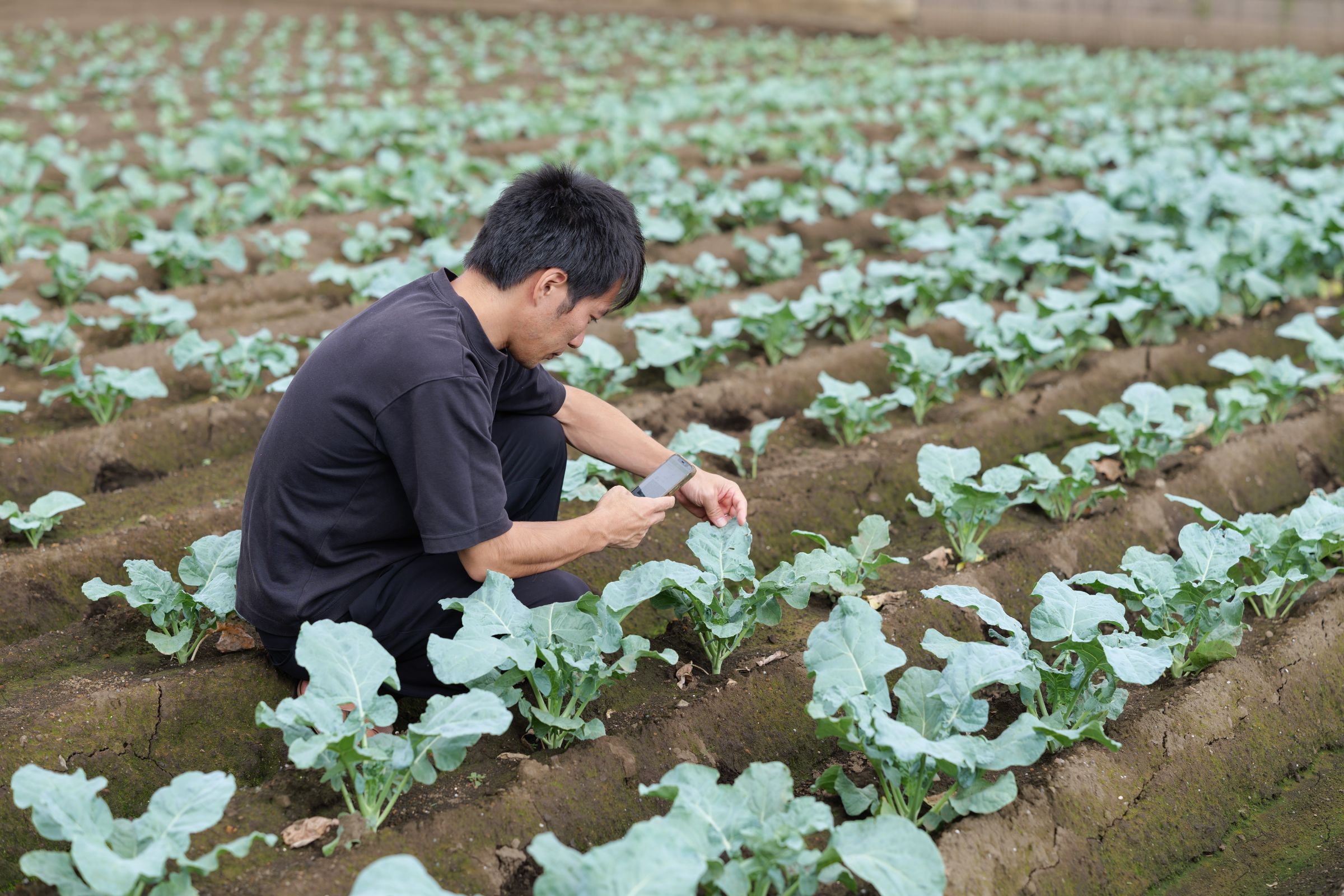 農業現場でスマートフォンを使用する農業者のイメージ写真