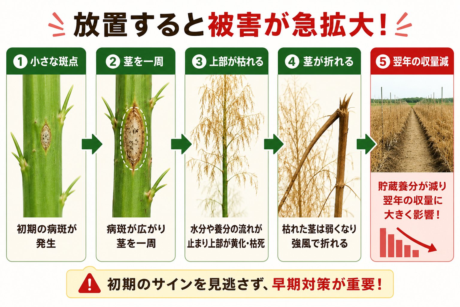茎枯病 放置するとどうなる?