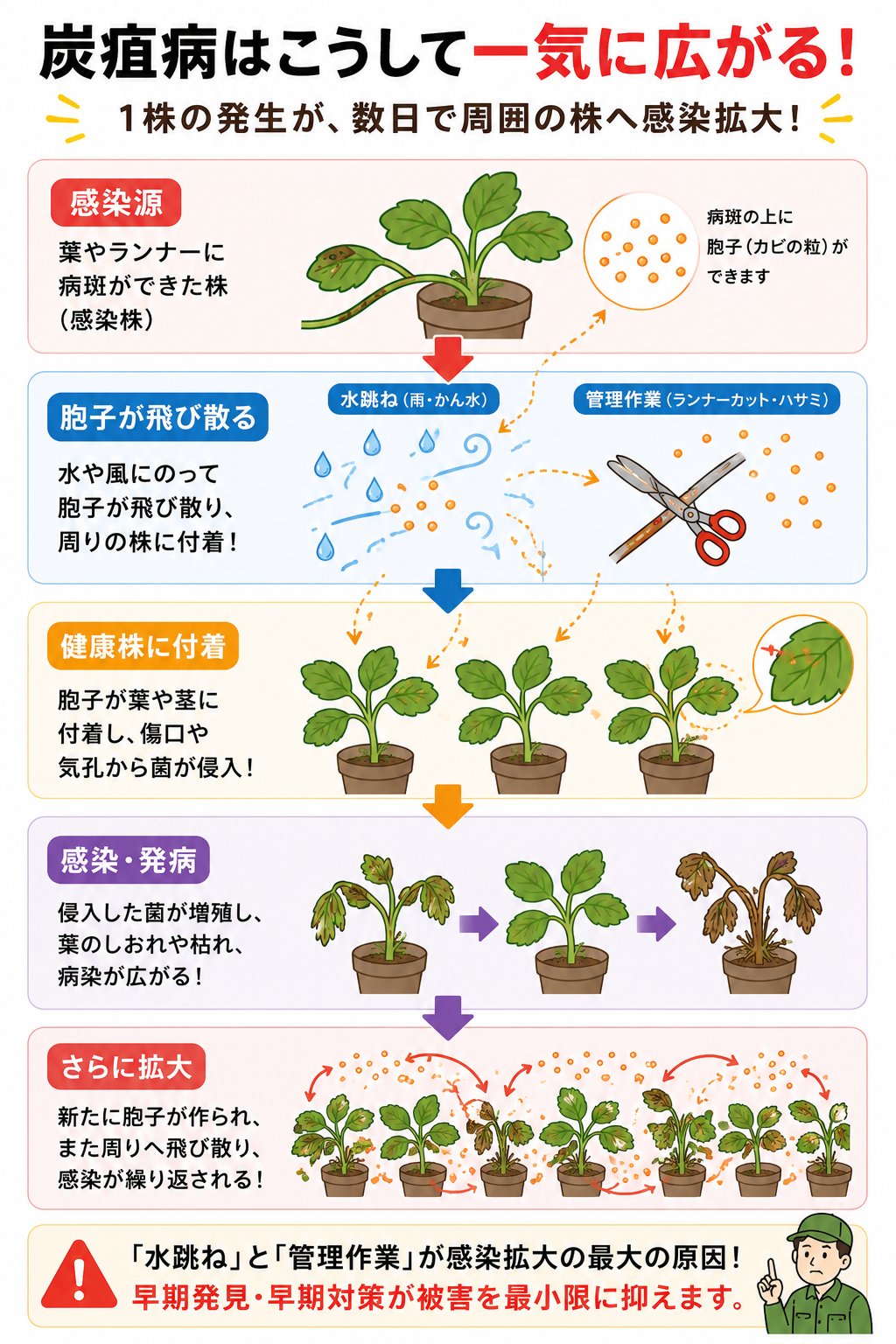 広がる
