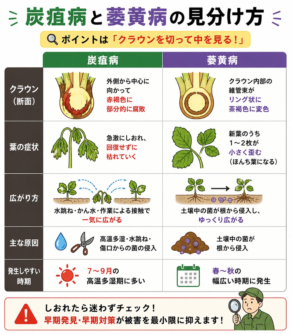 見分け方