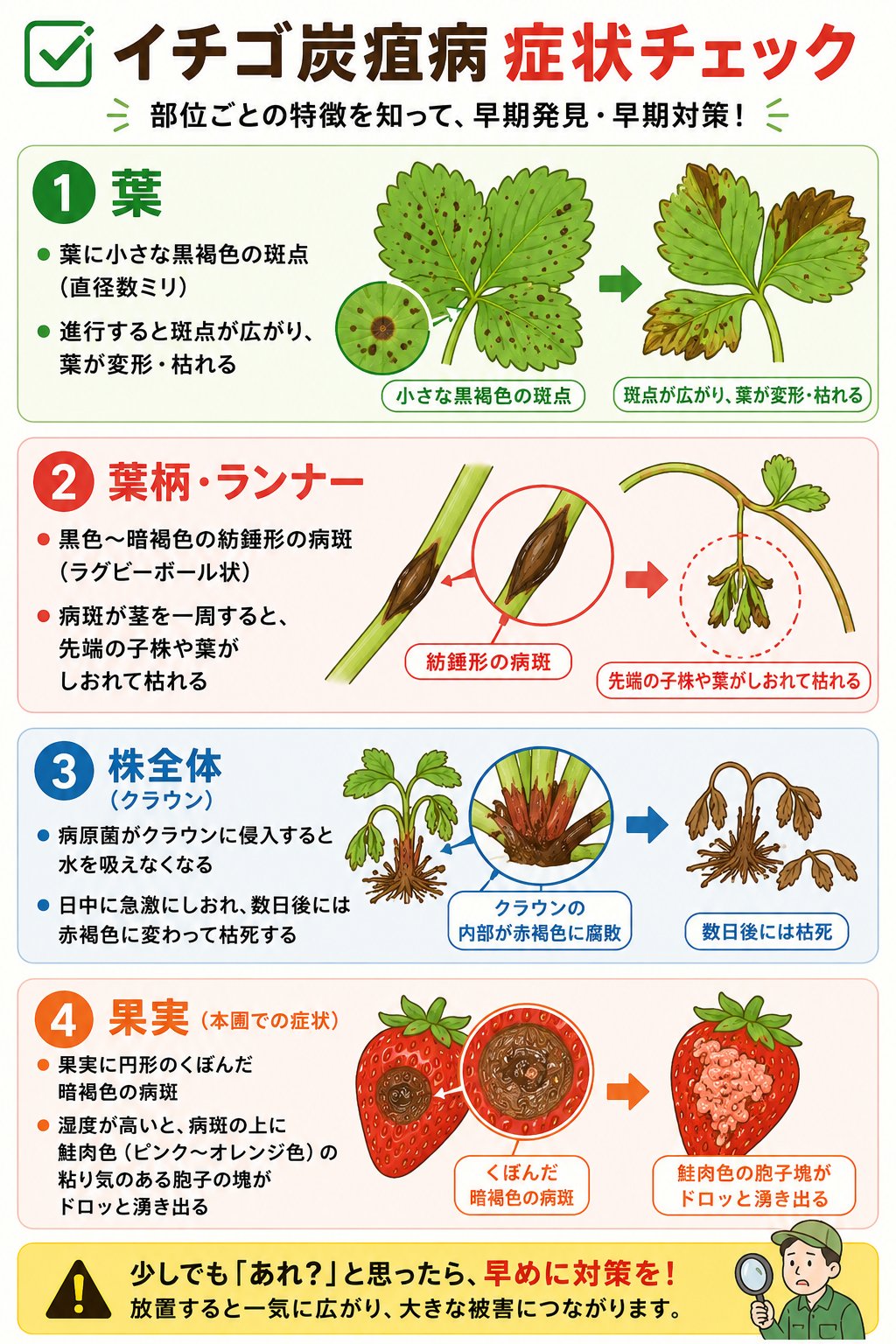 イチゴ症状チェック