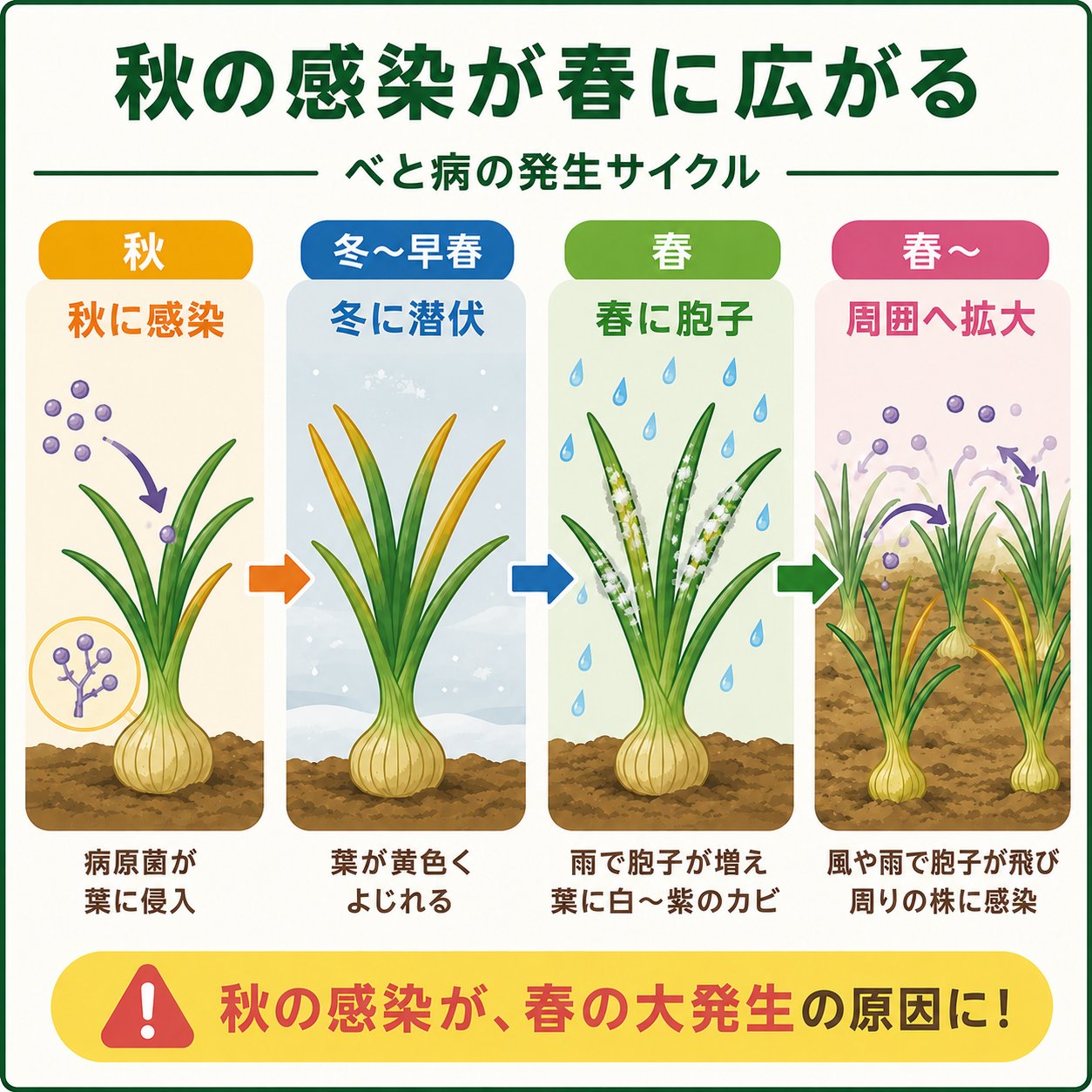 べと病のサイクル